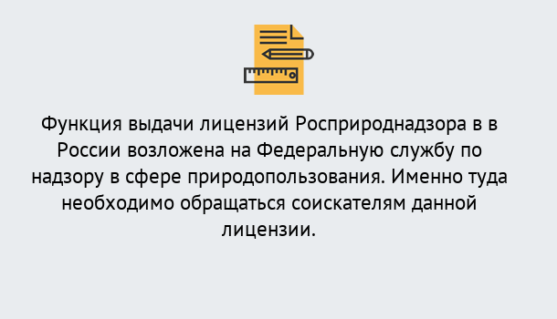 Почему нужно обратиться к нам? Воронеж Лицензия Росприроднадзора. Под ключ! в Воронеж