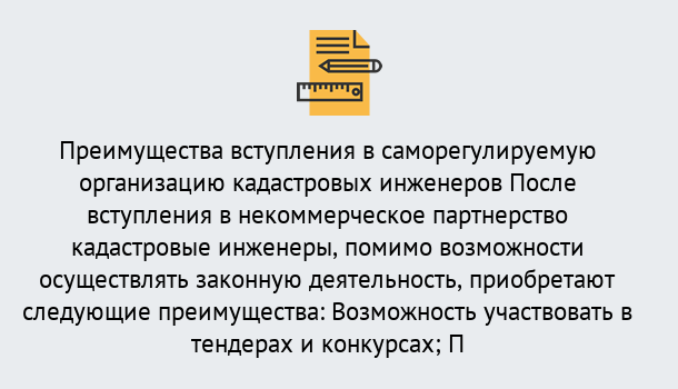 Почему нужно обратиться к нам? Воронеж Что дает допуск СРО кадастровых инженеров?