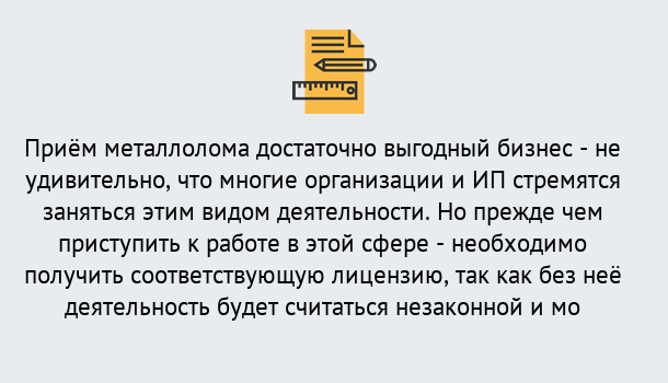 Почему нужно обратиться к нам? Воронеж Лицензия на металлолом. Порядок получения лицензии. В Воронеж