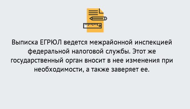 Почему нужно обратиться к нам? Воронеж Выписка ЕГРЮЛ в Воронеж ?