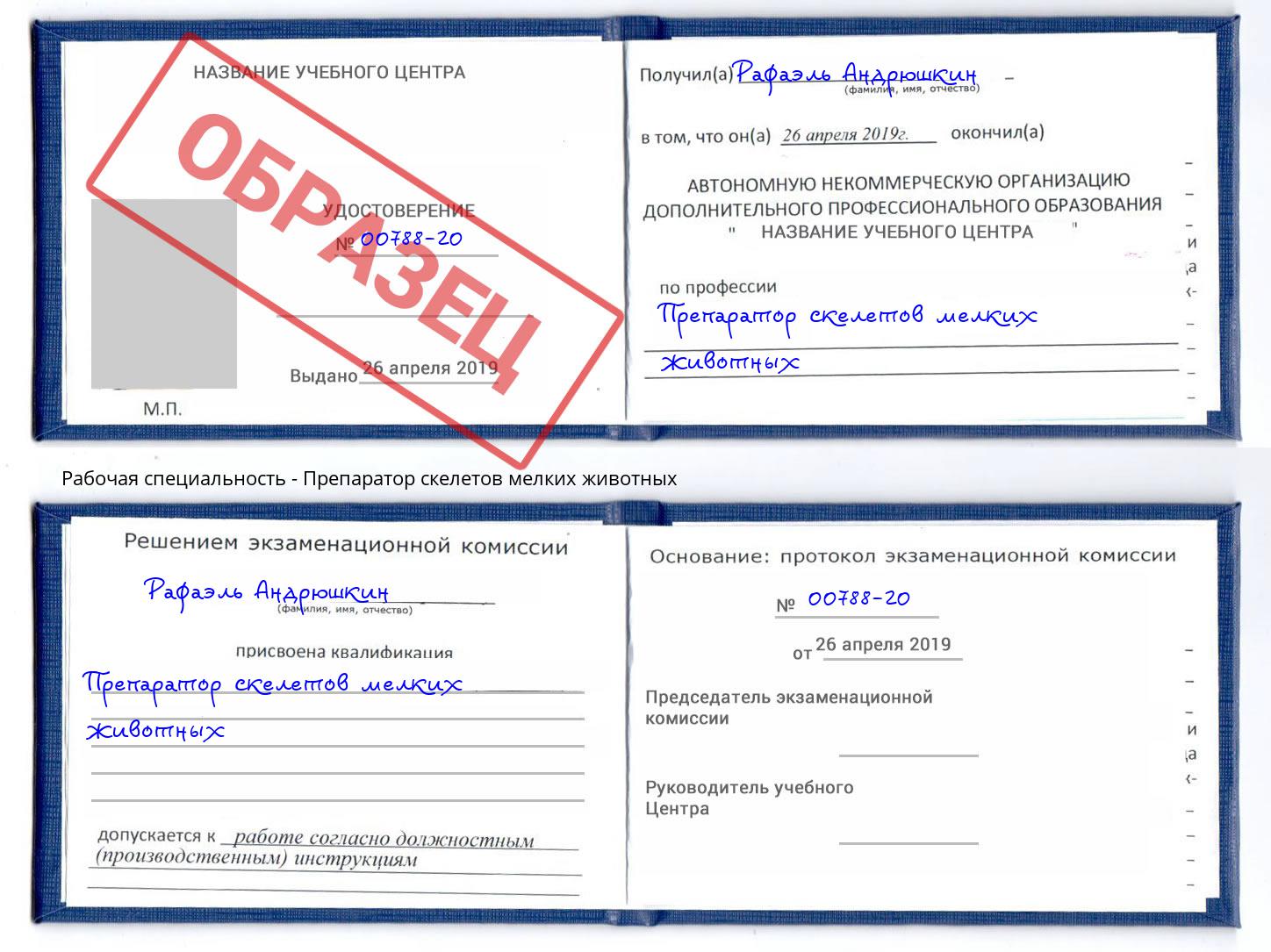 Препаратор скелетов мелких животных Воронеж