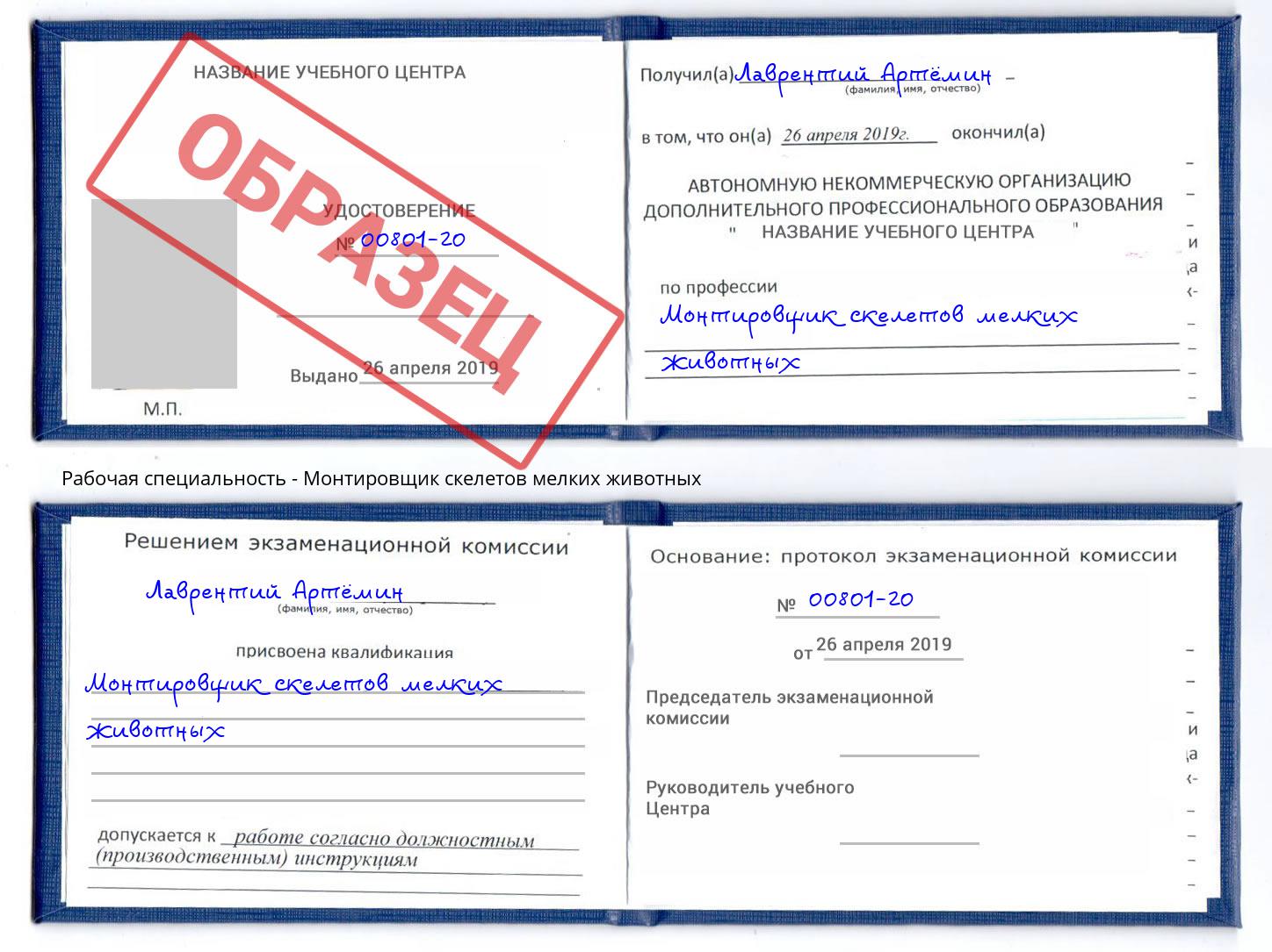 Монтировщик скелетов мелких животных Воронеж