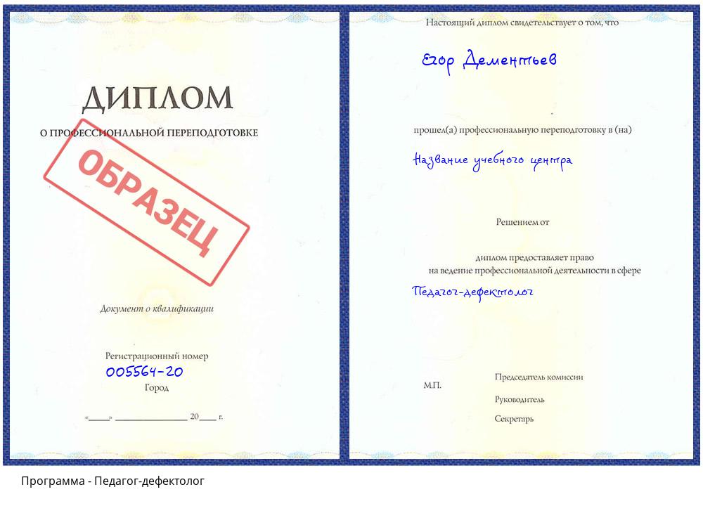 Педагог-дефектолог Воронеж