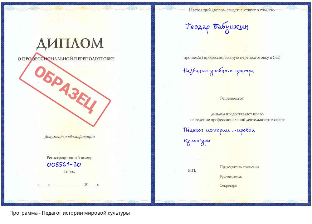 Педагог истории мировой культуры Воронеж