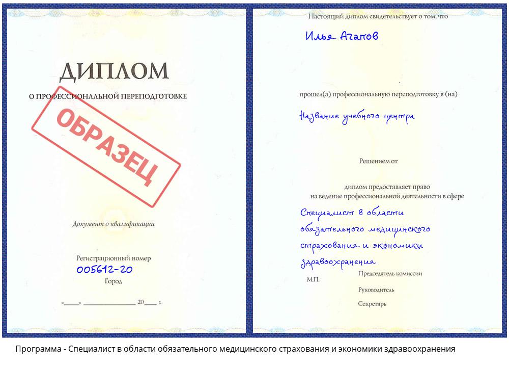 Специалист в области обязательного медицинского страхования и экономики здравоохранения Воронеж